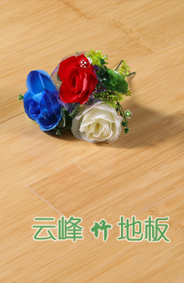 本色系列對(duì)節(jié)亮光淺