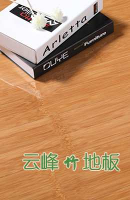本色系列對(duì)節(jié)亮光深
