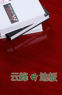 尊貴系列桔紅