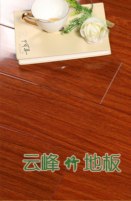 生態(tài)系列菠蘿格