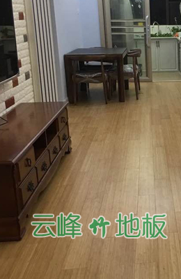 效果圖
