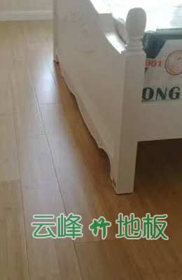效果圖